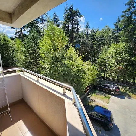 Pine Tree Easy Access - Next 100m To Slope And Forest View * バンスコ